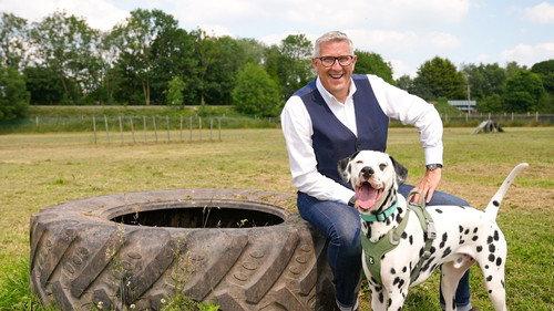 Dogs Behaving (Very) Badly Season 7 Episode 1 - Episode 1