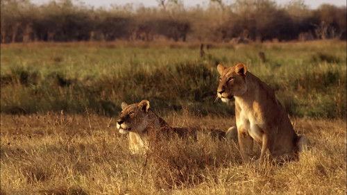 Creative Killers Season 1 Episode 1 - Coliseum