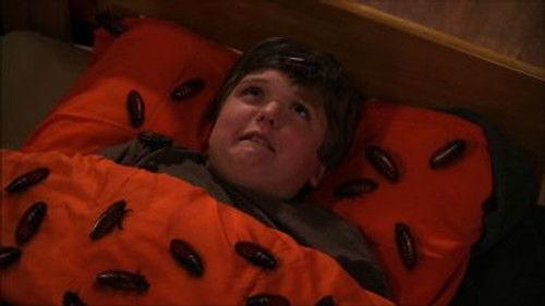 Crash & Bernstein Season 1 Episode 2 - Scaredy Crash