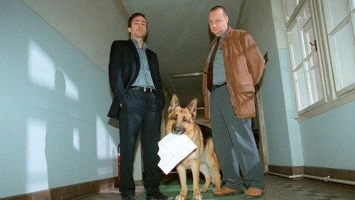 Inspector Rex Season 10 Episode 4 - Doping