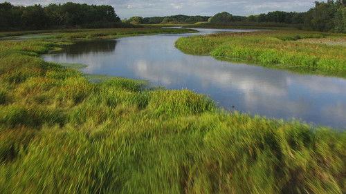 The Proof Is Out There Season 5 Episode 4 - Mississippi Bigfoot, UFO Shot Down over Great Lakes & Mexico's Alien Corpses