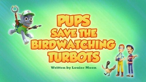 PAW Patrol Season 6 Episode 24 - Pups Save the Birdwatching Turbots