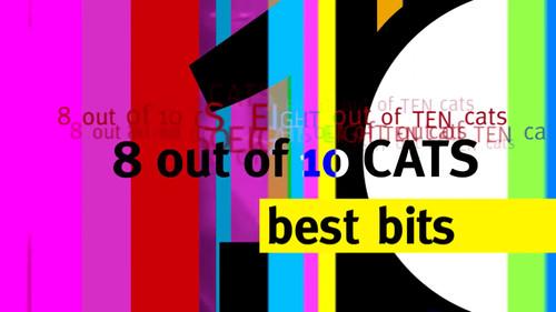 8 Out of 10 Cats Season 17 Episode 10 - Best of Series 17