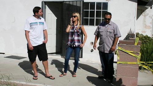 Background image for Split at the Seams