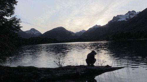 Alone Season 3 Episode 6 - Along Came a Spider