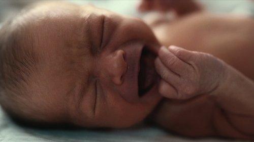 The Man with 1000 Kids Season 1 Episode 2 - Episode 2