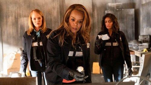 CSI: Vegas Season 2 Episode 15 - Ashes, Ashes