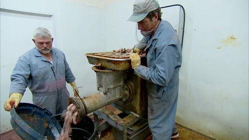 Dirty Jobs Season 4 Episode 24 - Maggot Farmer