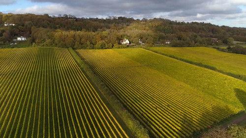 60 Minutes Season 54 Episode 15 - 12/26/2021: Weather & Wine, Drawing Truth to Power