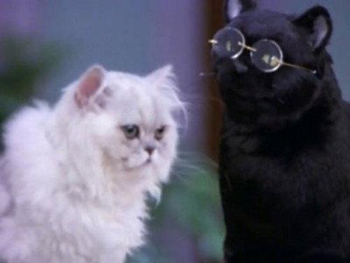 undefined Season 4 Episode 11 - Salem and Juliette