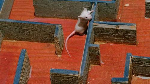 undefined Season 6 Episode 23 - Dr. Winchester and Mr. Hyde