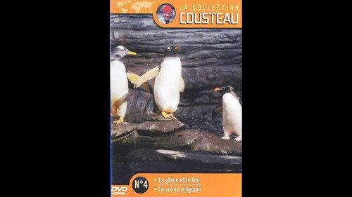 The Undersea World of Jacques Cousteau Season 1 Episode 26 - The flight of penguins