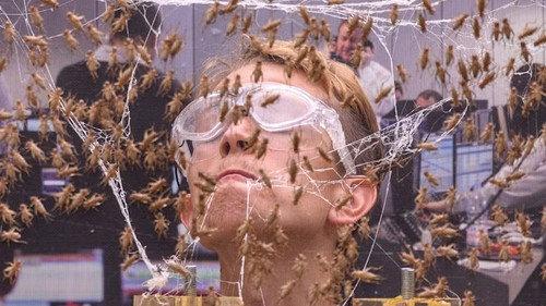 I'm a Celebrity...Get Me Out of Here! Season 18 Episode 16 - Stars of the Silver Scream