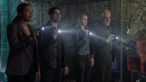 Criminal Minds Season 17 Episode 9 - Stars & Stripes