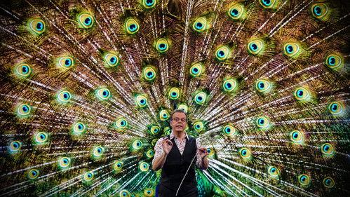 Kennismakers Season 1 Episode 1 - Evolution