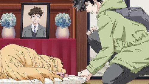 Dog Signal Season 1 Episode 14 - The Truth About Rocky