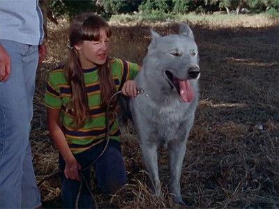 Shazam! Season 2 Episode 5 - Goodbye, Packy