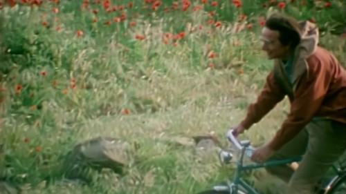 Cosmos: A Personal Voyage Season 1 Episode 8 - Journeys in Space and Time