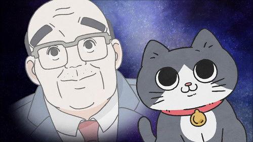 Cat Uncle: The Guy That Got Reincarnated As a Cat Season 1 Episode 8 - Episode 8