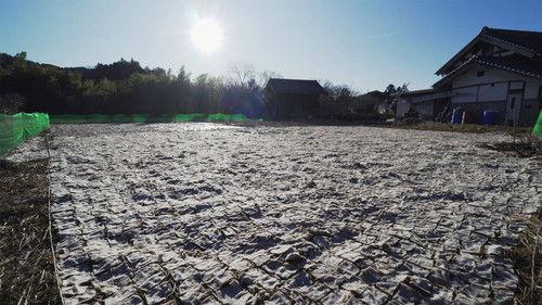 Through the Kitchen Window Season 1 Episode 8 - Shimi-konnyaku, Ibaraki