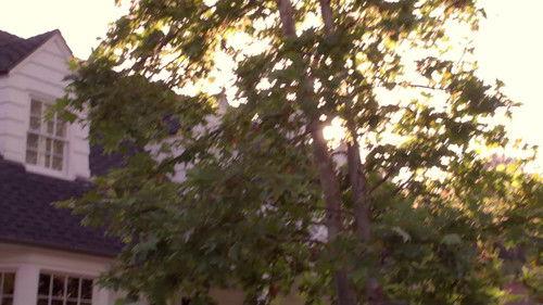 undefined Season 2 Episode 7 - Unmasked