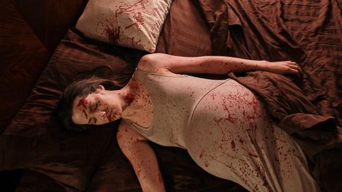 The Perfect Murder Season 2 Episode 10 - Bedroom Basher