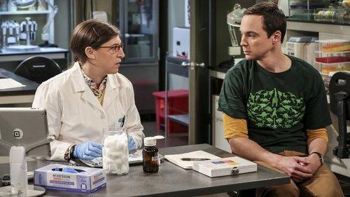 The Big Bang Theory Season 10 Episode 8 - The Brain Bowl Incubation