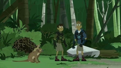 Wild Kratts Season 3 Episode 25 - Fossa Palooza!