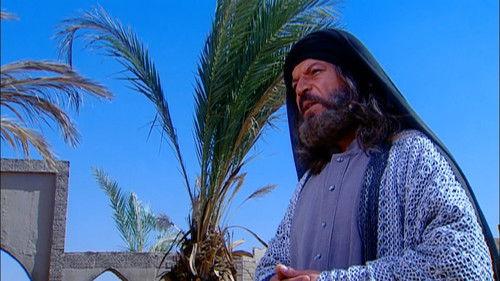 Al Hajjaj Season 1 Episode 28 - Stability