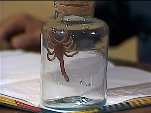 El Chavo del Ocho Season 6 Episode 24 - Ciencias Naturales - parte 1