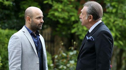 Brave and Beautiful Season 1 Episode 28 - Episode 28