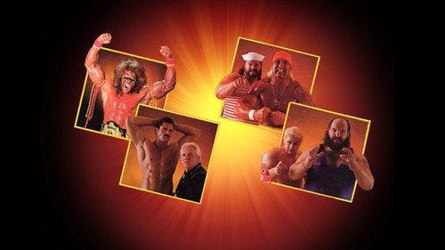 WWE Pay Per View Season 6 Episode 3 - SummerSlam 1990