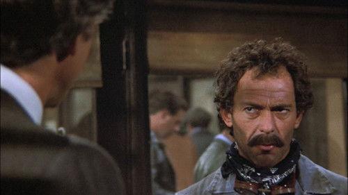 Hill Street Blues Season 5 Episode 6 - Ewe and Me, Babe