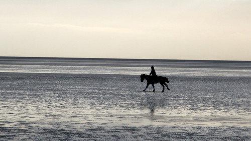 The Great British Winter Season 1 Episode 4 - Estuaries