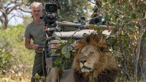 Big Cats 24/7 Season 1 Episode 1 - Episode 1