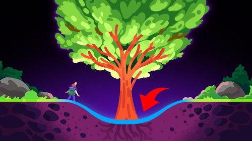 Kurzgesagt - In a Nutshell Season 14 Episode 1 - Trees Are Even More Crazy Than We Thought