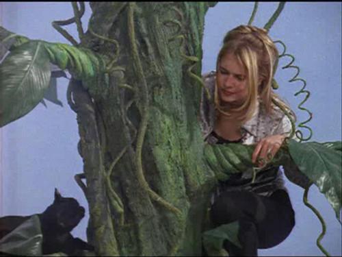 undefined Season 2 Episode 16 - Sabrina and the Beanstalk