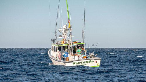 Wicked Tuna Season 10 Episode 14 - Real Heroes