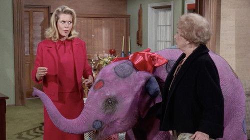 Bewitched Season 3 Episode 15 - A Gazebo Never Forgets