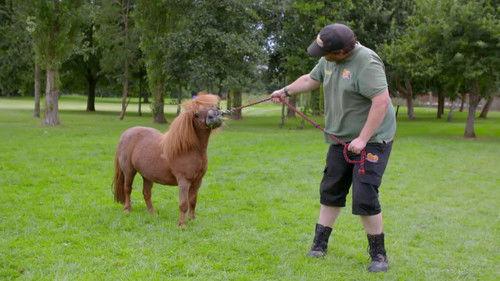 Happy Campers: The Caravan Park Season 4 Episode 3 - Episode 3