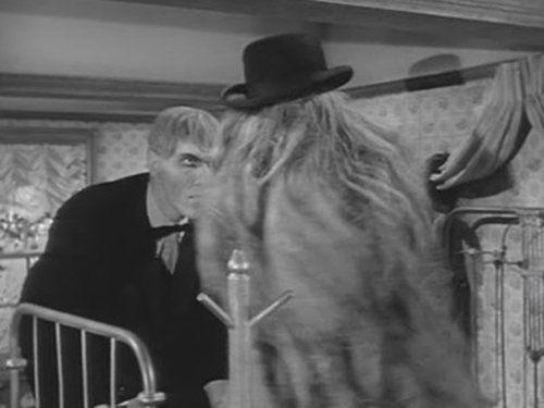 Background image for Cousin Itt and the Vocational Counselor