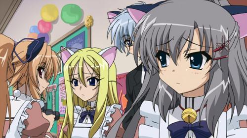 The Hill Dyed Rose Madder Season 1 Episode 7 - The Steel Grey Festival