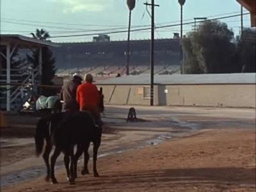 McMillan & Wife Season 2 Episode 7 - Two Dollars on Trouble to Win