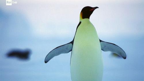 Superquark Season 26 Episode 2 - Orthopedic prostheses, digital startups, and the sun, under special surveillance