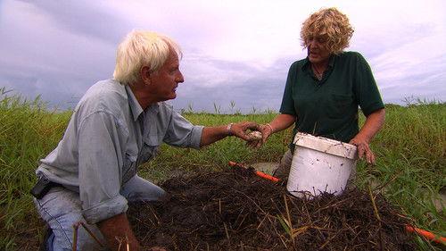 Croc College Season 1 Episode 6 - Episode 6