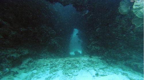 Absurd Planet Season 1 Episode 5 - H2 wOah