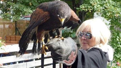 Coach Trip Season 3 Episode 7 - Liechtenstein