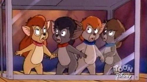 TaleSpin Season 1 Episode 58 - The Sound and the Furry