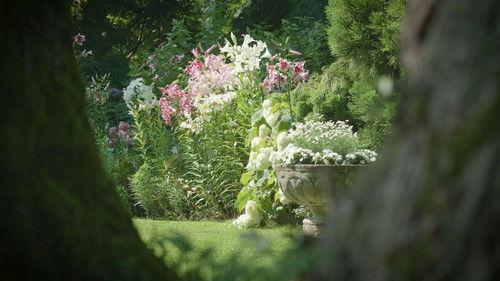 Hinter den Hecken Season 2 Episode 8 - A collector's garden