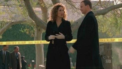 CSI: NY Season 2 Episode 15 - Fare Game